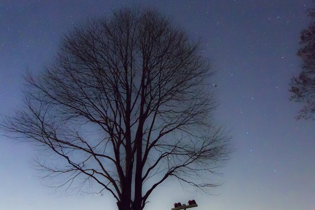 Minami Aso Luna Observatory Auberge Mori No Atelier Minamiaso Εξωτερικό φωτογραφία