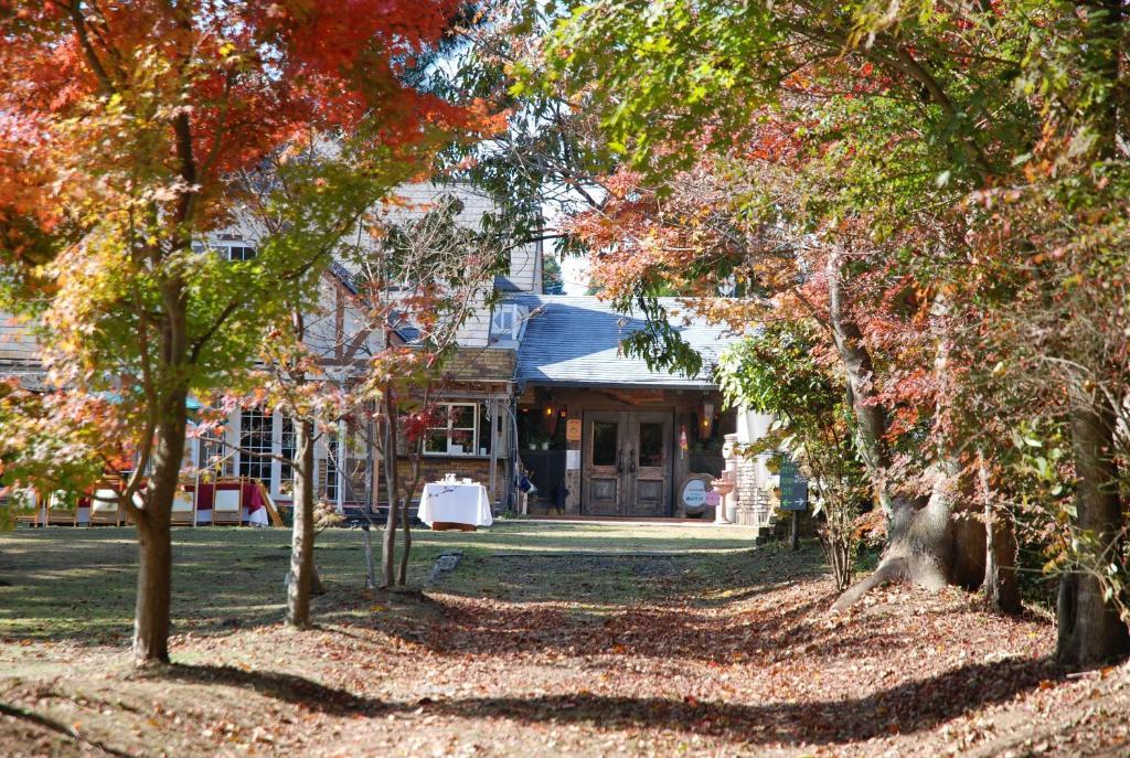 Minami Aso Luna Observatory Auberge Mori No Atelier Minamiaso Εξωτερικό φωτογραφία