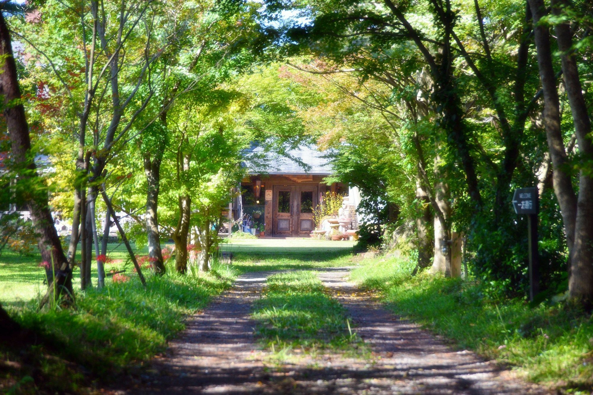 Minami Aso Luna Observatory Auberge Mori No Atelier Minamiaso Εξωτερικό φωτογραφία